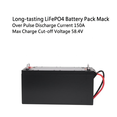 Batteria LiFePO4 di lunga durata con oltre 6000 cicli Max.Pulse Discharge Current 150A Max Charge Cut-off Voltage 58.4V