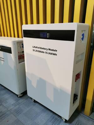 Batteria LiFePO4 da 51,2 V 314 Ah 16 KWH con durata di ciclo lungo 6000 per accumulo di energia solare residenziale