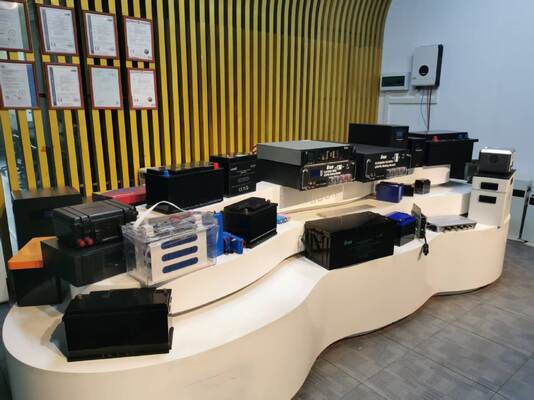 Pacco Batteria LiFePO4 Ciclo Profondo 48V 100Ah 5KWH per Accumulo Energia Solare Montato a Rack