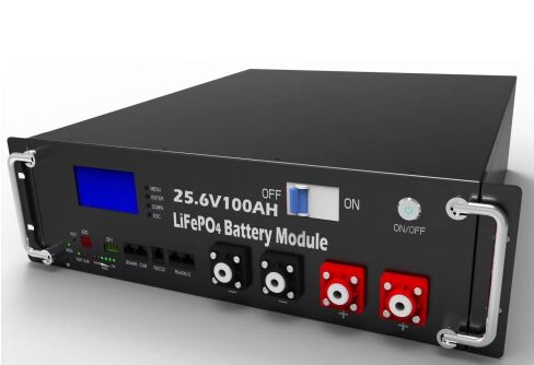 Batteria LiFePO4 25,6 V 100 Ah 2,56 KWh Batteria di accumulo di energia montata su rack per centrale elettrica UPS